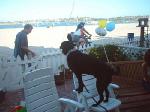 Caroline's party- Oscar guarding the party_th.jpg 4.5K
